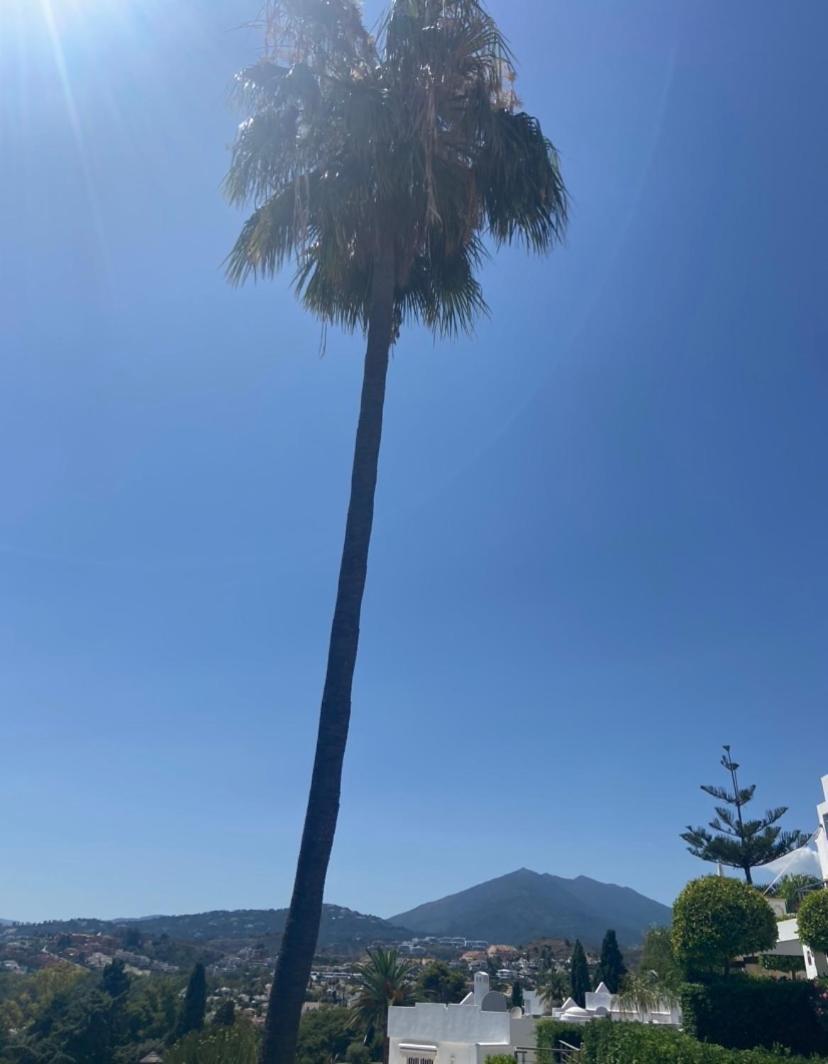 Las Pergolas マルベーリャ エクステリア 写真